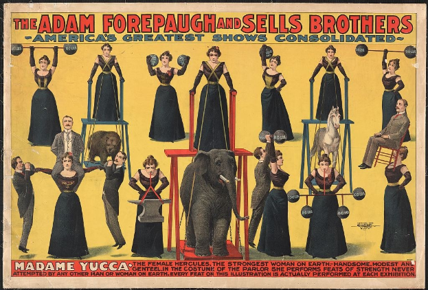 Plakat für die vereinigte Zirkusshow von Adam Forepaugh und Sells Brothers mit Performern auf Hockern und einem zentralen Elefanten.
