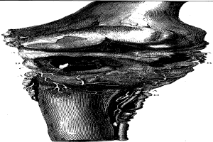 Eine Schwarz-Weiß-Zeichnung eines menschlichen Knies mit einem Bruch in der Mitte und Text unten mit der Aufschrift "Anatomie des Kniegelenks".