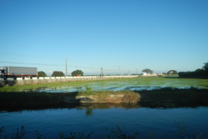 Ein Lastwagen fahrt auf einer Stra├če neben einem Gew├Ąsser, umgeben von ├╝ppiger Vegetation, mit Strommasten, Geb├Ąuden und einem klaren blauen Himmel im Hintergrund.