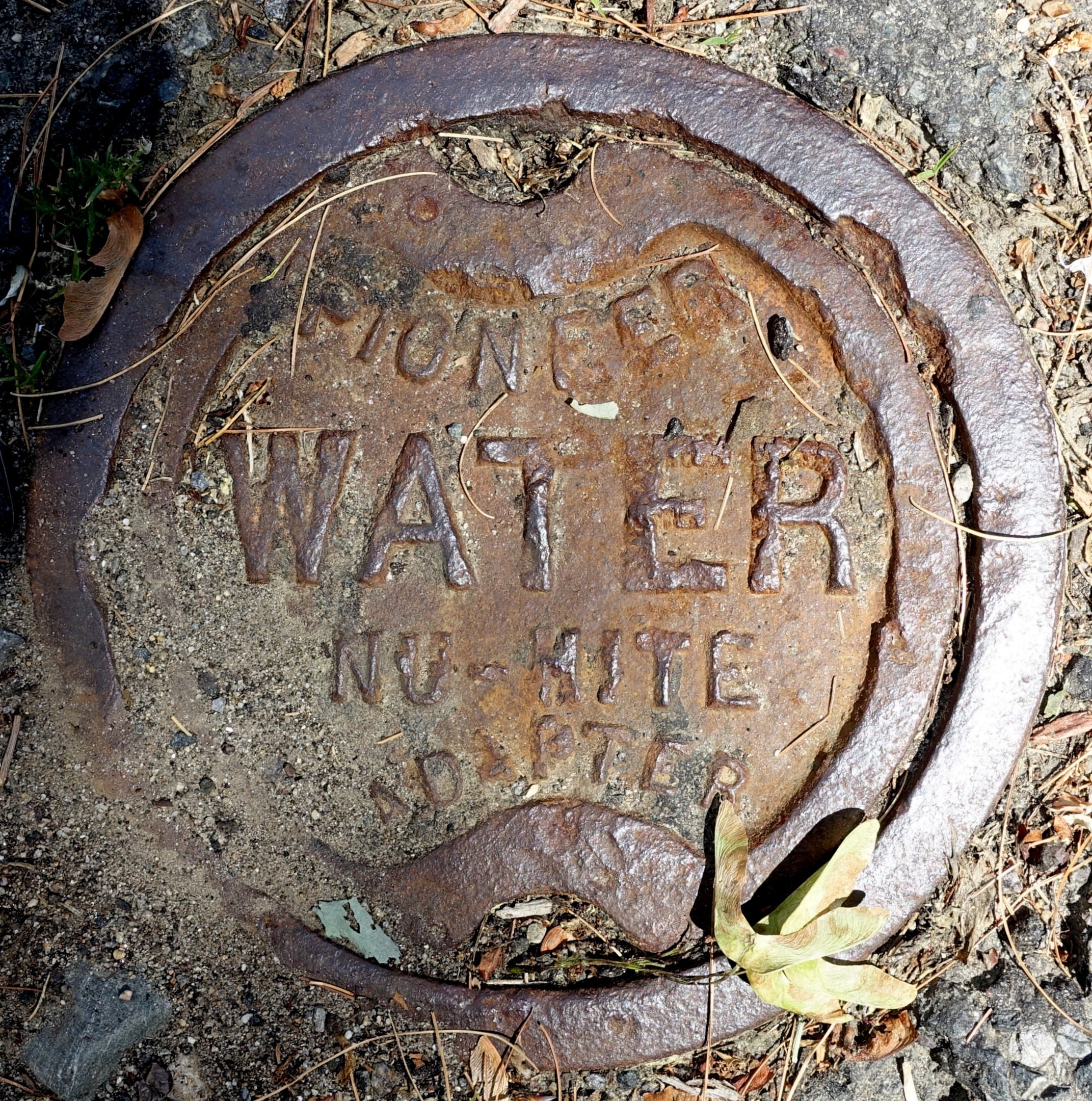 Ein verrosteter Gullideckel mit der Aufschrift "Wasser" in trockenen Blättern und Gras eingebettet.
