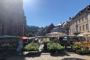 Ein lebendiger Markt im alten Stadtzentrum von Heidelberg mit Menschen, die auf Stühlen und Tischen mit Blumentöpfen und Schirmen sitzen und stehen, vor einem Hintergrund aus Gebäuden, Bäumen und einem klaren blauen Himmel.