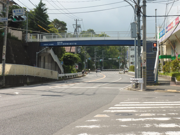 Stadtstraße mit einer Fußgängerbrücke darüber, Fahrzeuge auf der Straße, Strommasten mit Drähten, Verkehrszeichen, Schilder, Gebäude mit Fenstern, Bäume, Pflanzen und einen Himmel als Hintergrund.