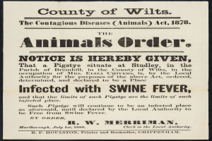 Ein Plakat mit Text, der eine Bekanntmachung nach dem Tierseuchengesetz von 1878 ankündigt, bezüglich der Afrikanischen Schweinepest in Wiltshire.