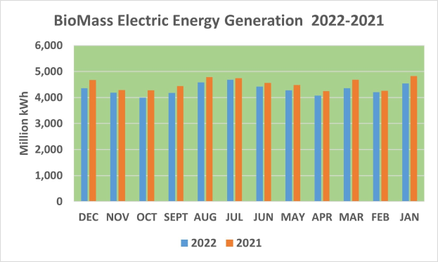 Balkendiagramm, das die Stromerzeugung aus Biomasse von 2021 bis 2022 zeigt, mit begleitendem erklärendem Text.