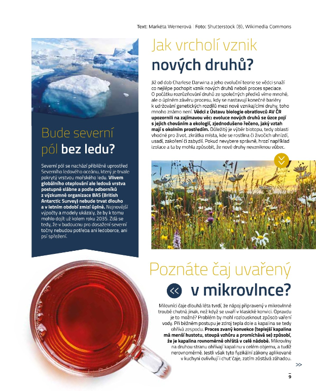 Ein Magazin Spread mit einer Tasse Tee umgeben von Pflanzen und Blumen, mit begleitendem Text.