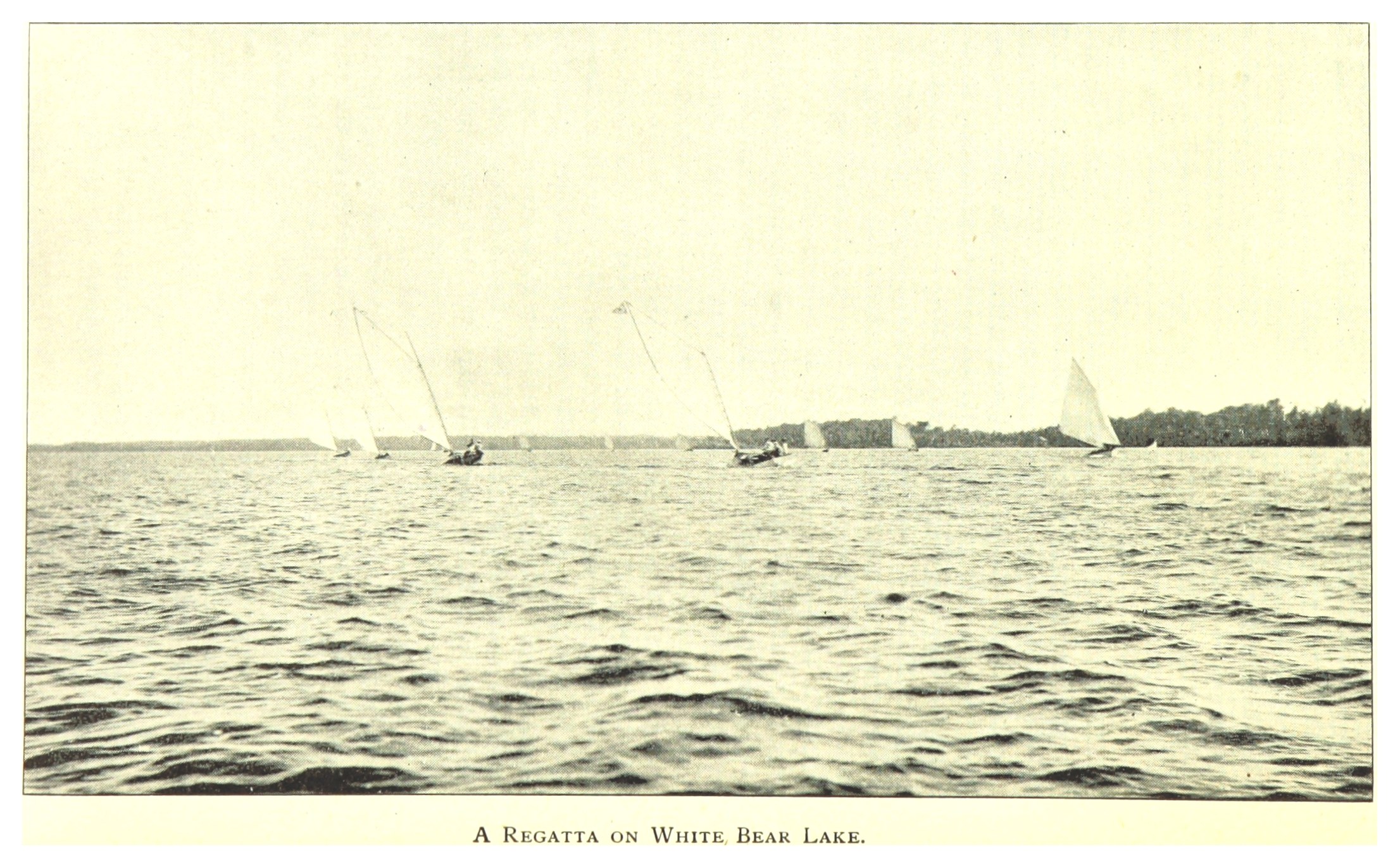 Regatta am Weißen Bärensee mit Booten auf dem Wasser, Bäumen im Hintergrund und Text unten.